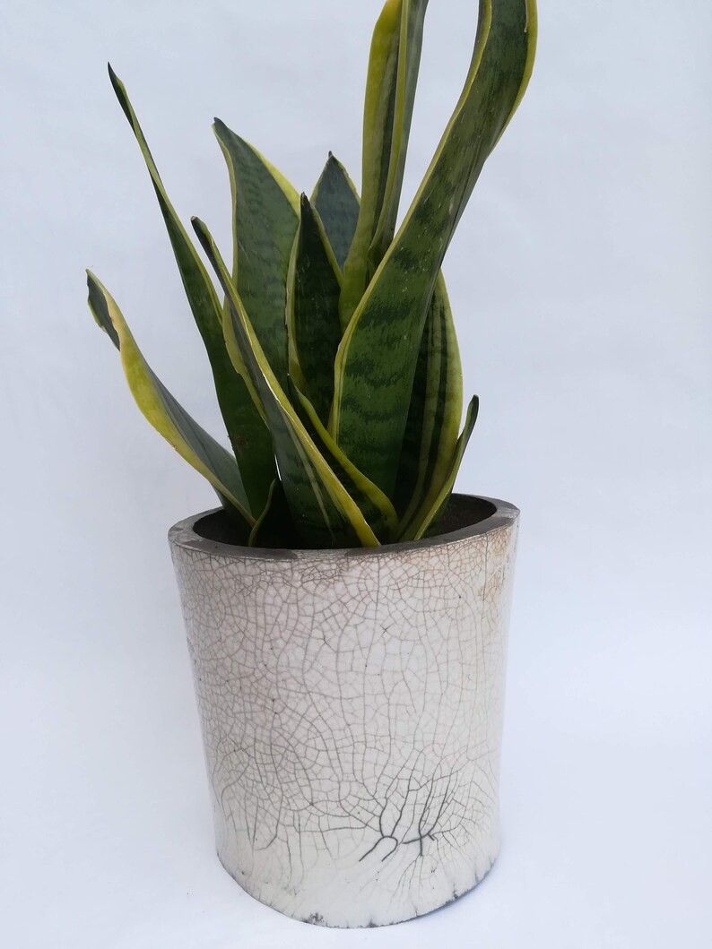 Pot raku en céramique Blanc