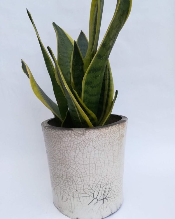 Pot raku en céramique Blanc