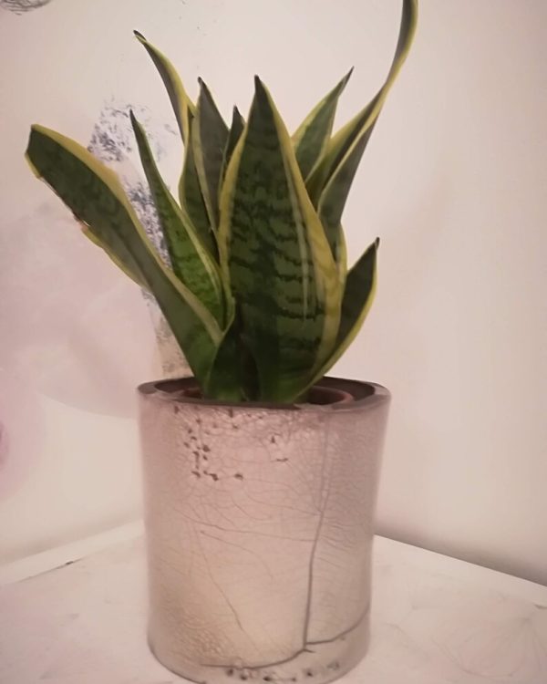 Pot raku en céramique Blanc